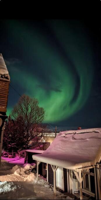 In The Heart Of The Aurora Borealis - Tromso City Exterior photo